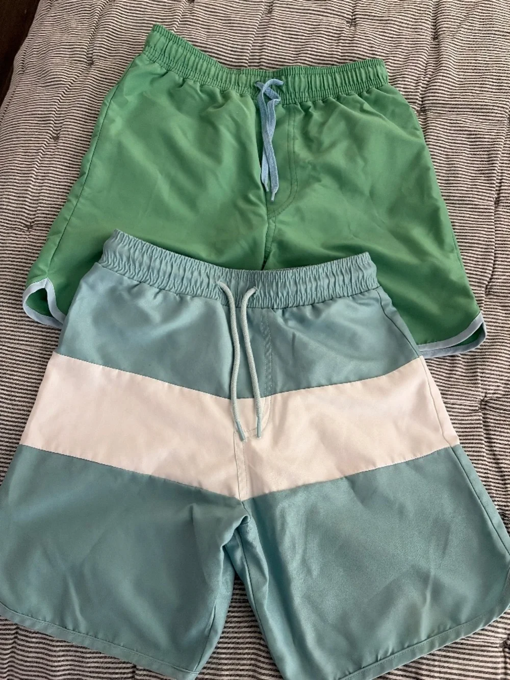 2 minnow swim shorts